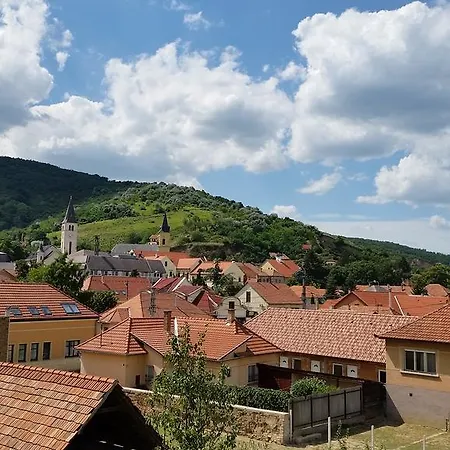 Maison d'hôtes Niki Tokaj